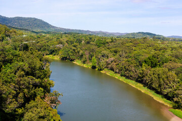 Obraz premium Scenic view of a river and rainforest 