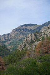 Obraz premium nature mountain landscape rocks stones forest needles pine firs blue sky Balkans