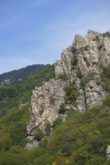 nature mountain landscape rocks stones forest needles pine firs blue sky