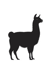 Fototapeta premium Silhouette of a llama standing on a white background, side view.