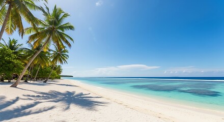 White Sand Beach and Palm Trees in Remote Indonesian Island
