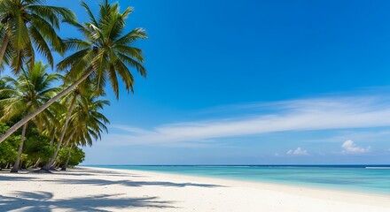 White Sand Beach and Palm Trees in Remote Indonesian Island