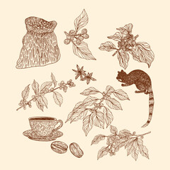 Hand Draw Vintage Coffee Elements Set
