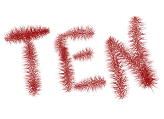 10 Ten in words dark red color furry style vector illustration png 