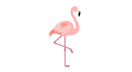 Fototapeta premium Illustration of a pink flamingo standing on one leg against a white background.