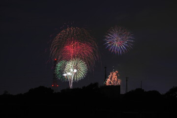 夜空に咲く花火
