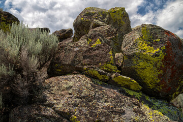 Lichen on Rocks with Sage Brush Idaho