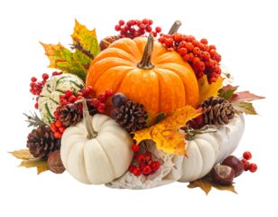 A beautiful Thanksgiving centerpiece arrangement, isolated on a white background, a symbol of gratitude and fall celebrations.