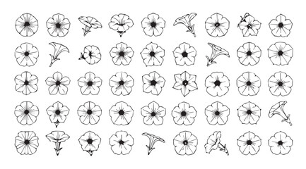 Collection of detailed botanical flower illustrations in silhouette style