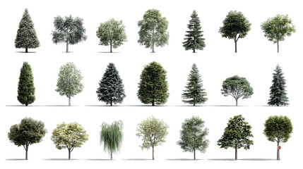 Collection of Isolated Trees on White Background
