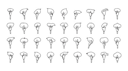 Collection of calla lily silhouettes in various poses and angles silhouette