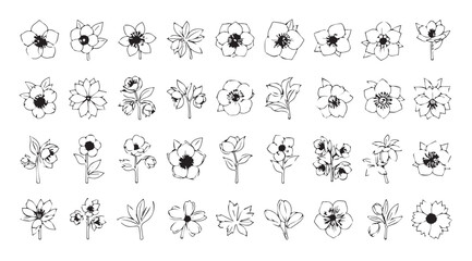 Collection of delicate hand drawn floral illustrations in silhouette style