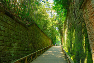 神奈川県横須賀市の無人島 猿島公園