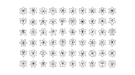 Intricate black and white abstract geometric patterns in silhouette