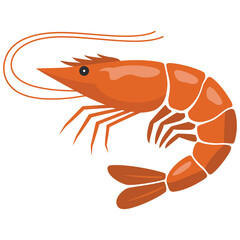 shrimp vector illustration