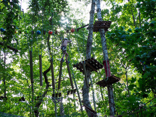 Fototapeta premium A person in sportswear is carefully navigating a high rope obstacle course in a sunny forest, moving across a wooden bridge between tall green trees.