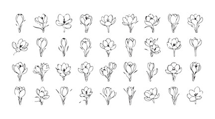 Collection of hand drawn floral bouquets in a stylized silhouette silhouette