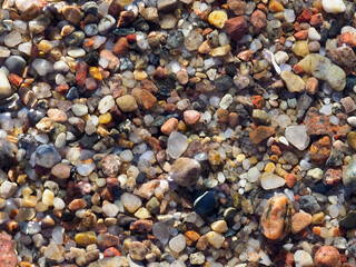 A top-down, detailed view of a seabed with a mix of multi-colored pebbles and fine sand, creating a textured pattern.