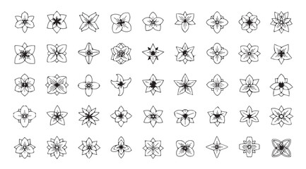 Collection of intricate decorative ornate floral and geometric motifs silhouette