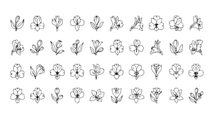 Collection of intricate black and white floral and abstract decorative elements silhouette