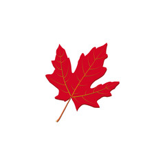 Red Maple Leaf Clipart, Tilted Autumn Vector Illustration