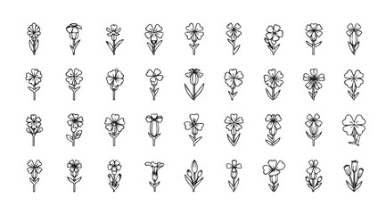 Collection of intricate floral and abstract decorative elements in a silhouette style