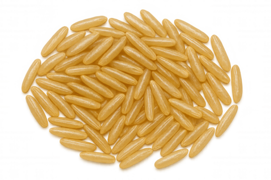 Golden long rice grains forming an oval shape, isolated on a transparent background, ideal for food-related projects