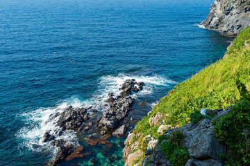 Scenic Coastal Cliff and Waves at Ulleungdo Island, Korea