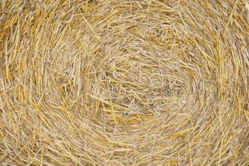 Close up photo of a hay bale, natural background