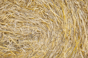 Close up photo of a hay bale, natural background