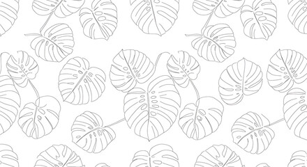Outline Monstera Leaves Pattern on White Background for Decorative Design