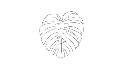 Minimalist Monstera Leaf Line Art Illustration on White Background