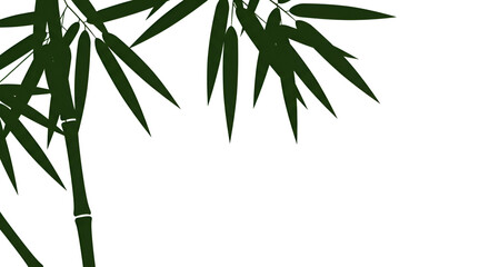 Obraz premium Green Bamboo Leaves on White Background in Minimalist Style