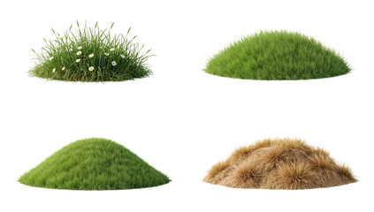 Lush variety of grass and floral tufts arranged as design elements against transparent setting