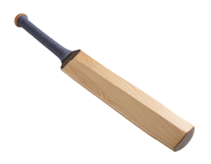Light-colored wooden cricket bat with dark grip