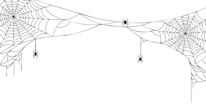 Spooky spiderwebs with hanging spiders create a creepy Halloween atmosphere and perfect for party invites