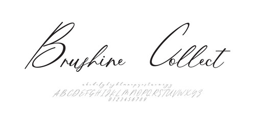 Brushine Collect Signature Typeface. Handwritten Script Editable Text Effect Template. vector illustration 
