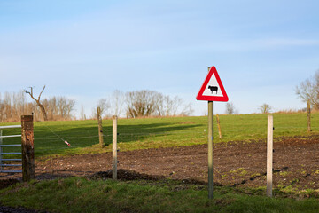A red triangular warning sign with a cow symbol indicates a cattle crossing. The sign stands by a wire fence in a rural field under a clear blue sky, signifying road safety in the countryside.

