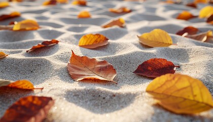 Autumn leaves lying on sandy textured surface background