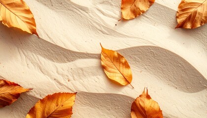 Autumn leaves resting on soft textured sand surface