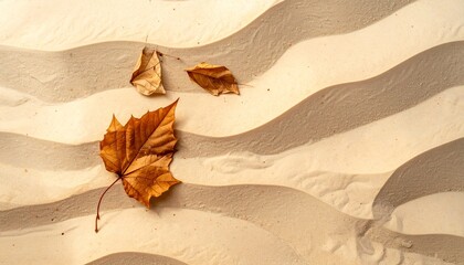Abstract wavy sand texture with dry fallen leaves