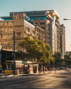 North Terrace Adelaide when in sunset and with tram arriving