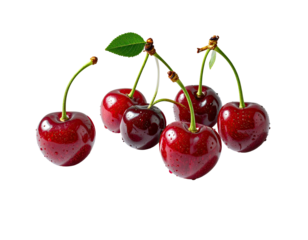 Close-up of a cluster of ripe, red cherries on stems