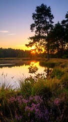 Sunrise over tranquil pond