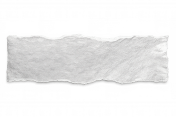 Jagged-edged white paper fragment ripping diagonally, revealing textured blank space against transparent backdrop, ready for graphic insertion