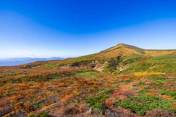 秋色に染まる　栗駒山の絶景