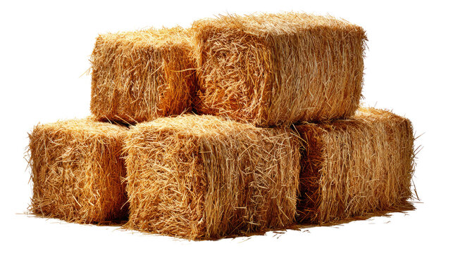 Golden Hay Bales: A stack of golden hay bales, neatly arranged, invites the viewer to experience the tranquility of a rural landscape, filled with the scent of dried grass and the promise of harvest.