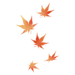 Watercolor Style Autumn Maple Leaves Floating in the Air ｜ Red Maple Leaf, Japanese Maple, Fall Foliage, Seasonal Illustration, Transparent Background, Vector