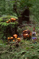 copper cauldron, witch potion bottles, mushrooms on stump in forest, natural background. Magic ritual, witchcraft, occult esoteric spiritual practice. autumn season. fairytale, Mystery atmosphere
