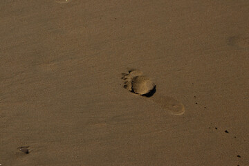 A single, clear footprint is impressed into the smooth, wet sand on a sunlit beach